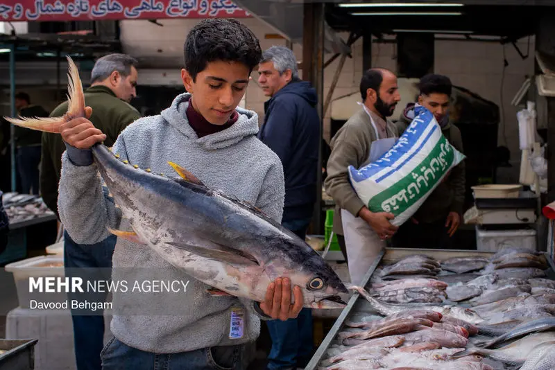 نوروز ۱۴۰۵ ۲