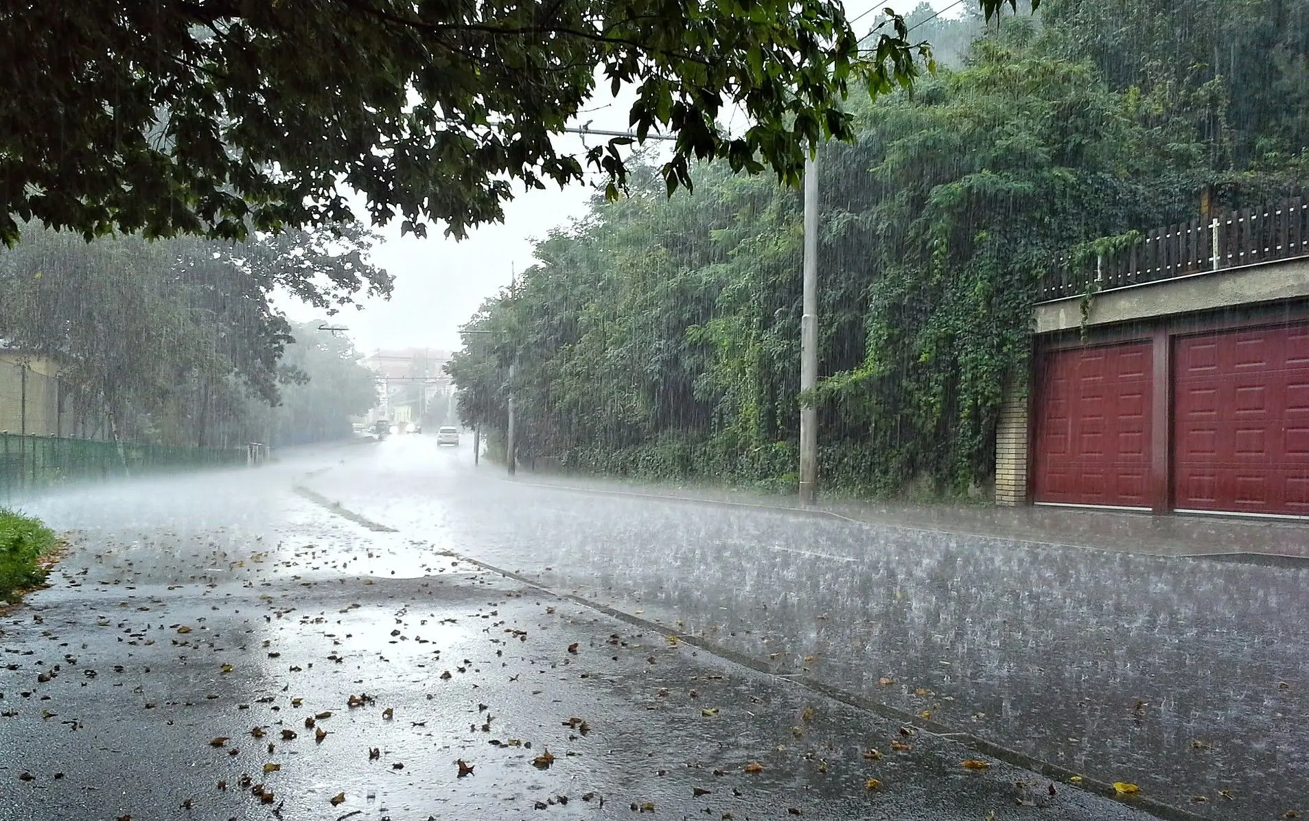 با شروع باران ۱۴۰۴ ذوق‌زده نشوید/ سیل شاید زیرساختها را نابود کند