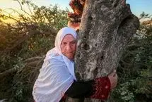 تصاویر؛ قطع درختان چند صدساله فلسطینی‌ها توسط اسرائیلی‌ها