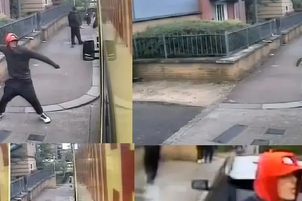 ببینید؛ سرقت بی‌شرمانه از آمبولانس حین امدادرسانی اورژانسی