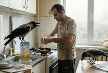 من سه تا می‌خورم/ ماجرای کلاغ و آلودگی هوا
