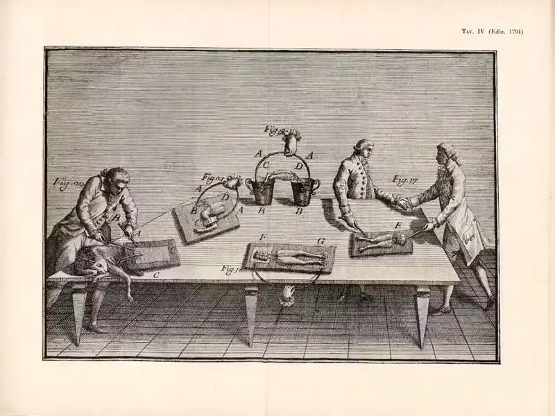 فرانکنشتاین