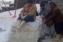 ویدئویی پربازدید از برف‌روبی خانه‌ای در پیرانشهر