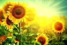 تفال به حافظ جمعه 2 خرداد ۱۴۰۴؛‌ ای دل ریش مرا با لب تو حق نمک....