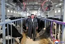 کیم جونگ اون مزرعه دامداری افتتاح کرد