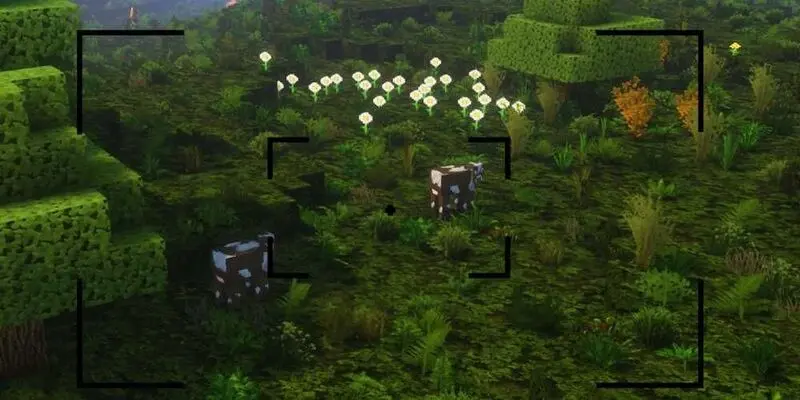 ماینکرفت