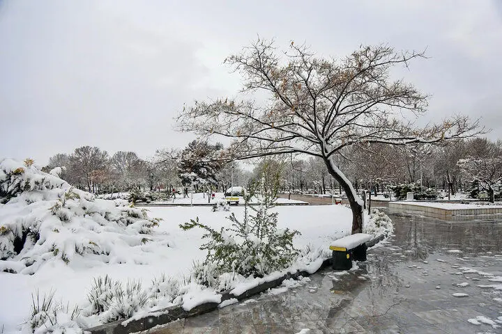 سرمای شبانه در ۵ مرکز استان ادامه دارد

