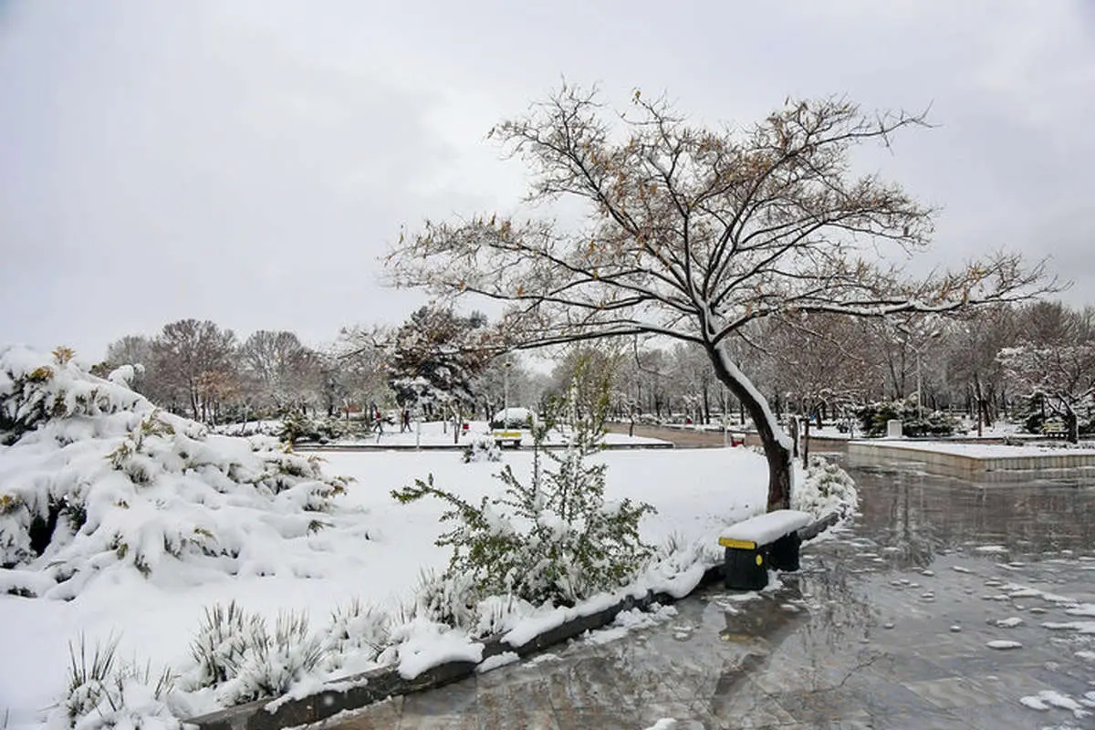 سرمای شبانه در ۵ مرکز استان ادامه دارد
