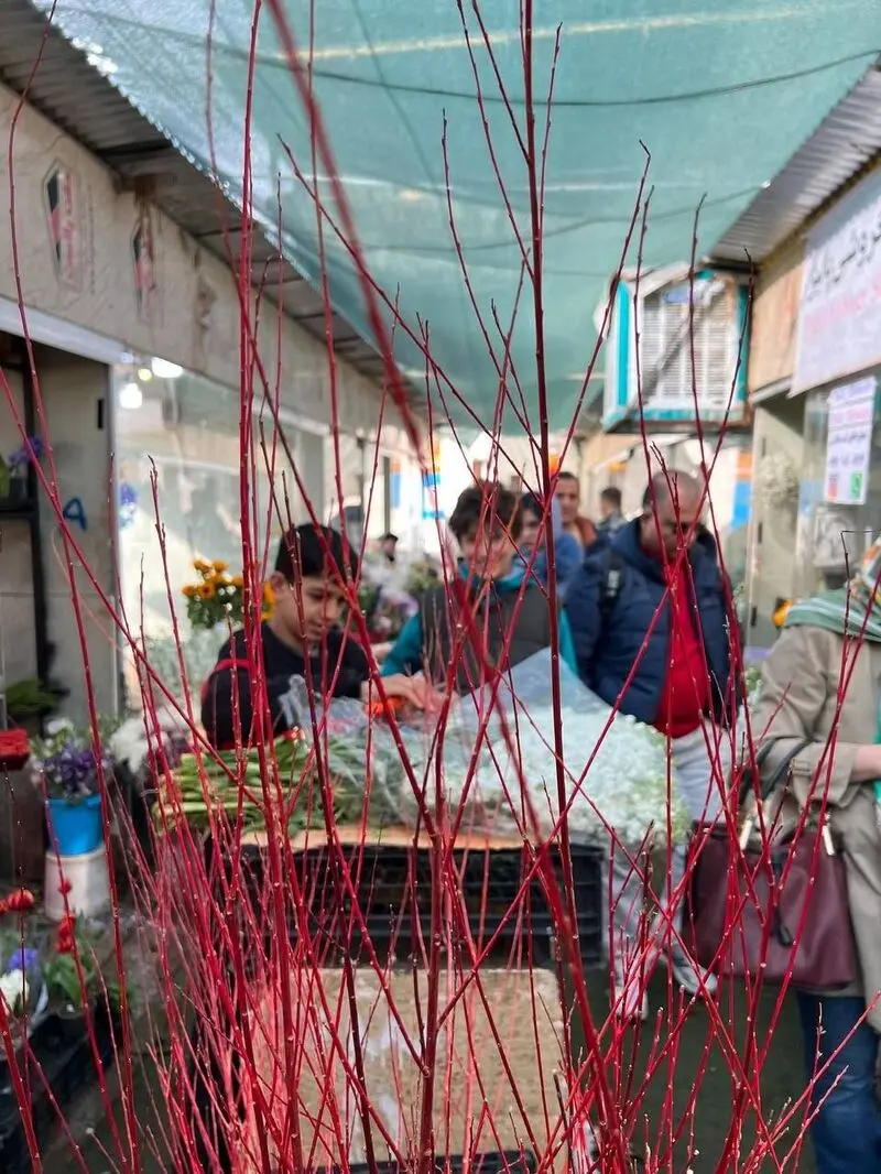 بازار گل۲