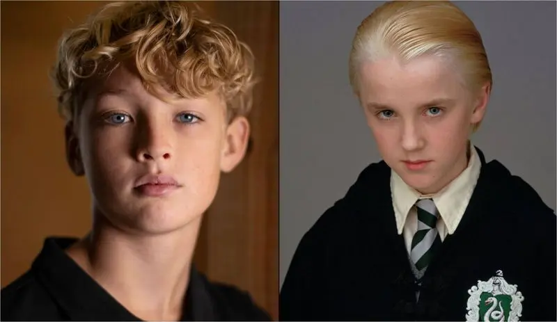 دراکو مالفوی