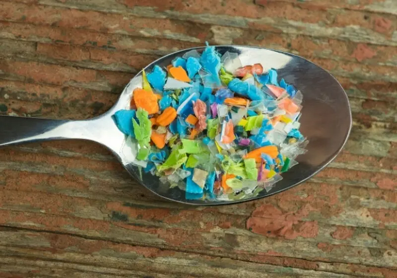 مغز انسان