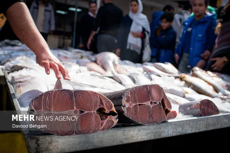 نوروز ۱۴۰۵ ۲۶