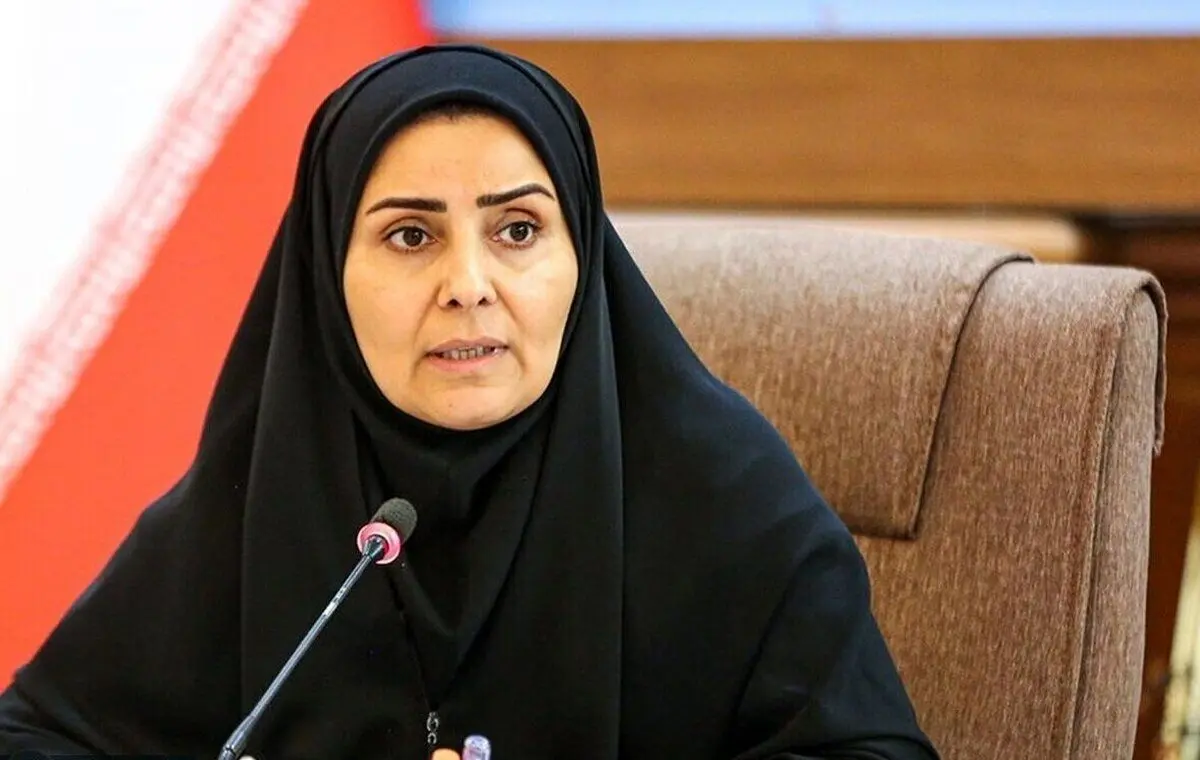 رئیس امور اطلاع‌رسانی دولت: عده‌ای هر روز در حال پخش شایعات کودکانه هستند