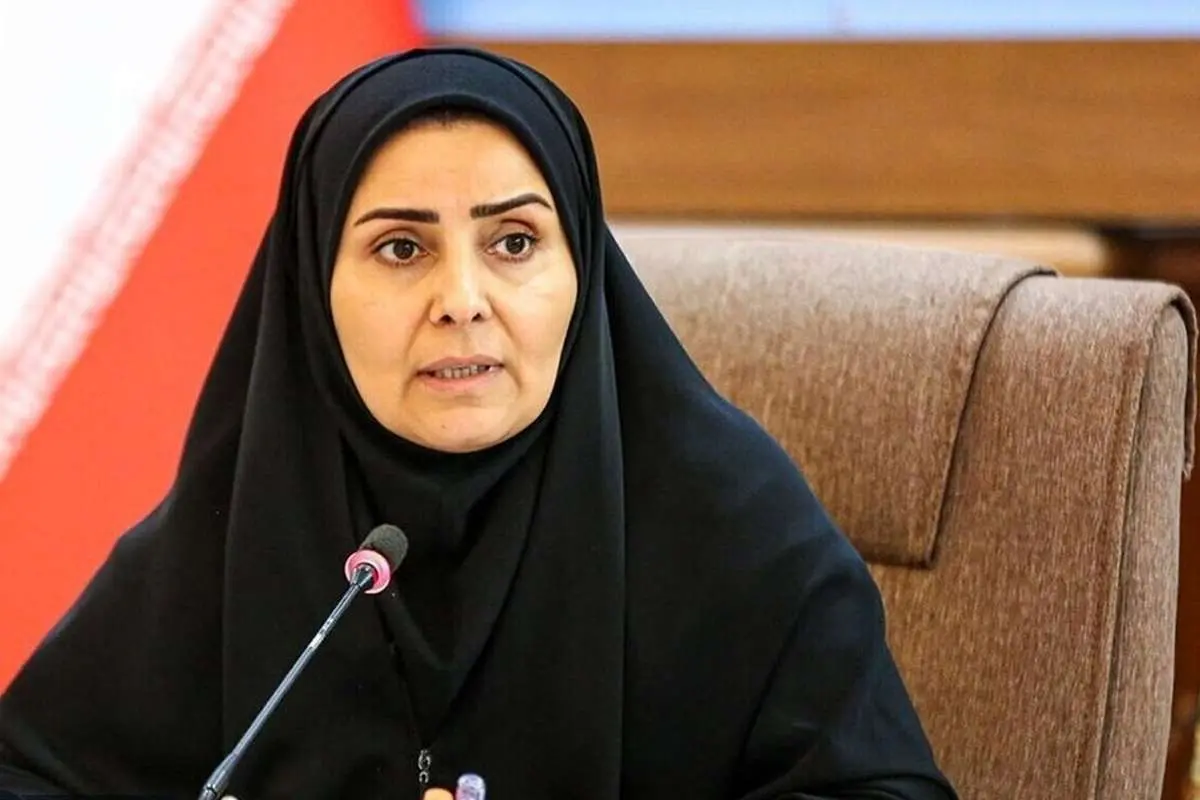 رئیس امور اطلاع‌رسانی دولت: عده‌ای هر روز در حال پخش شایعات کودکانه هستند