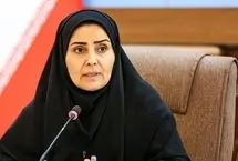 رئیس امور اطلاع‌رسانی دولت: عده‌ای هر روز در حال پخش شایعات کودکانه هستند