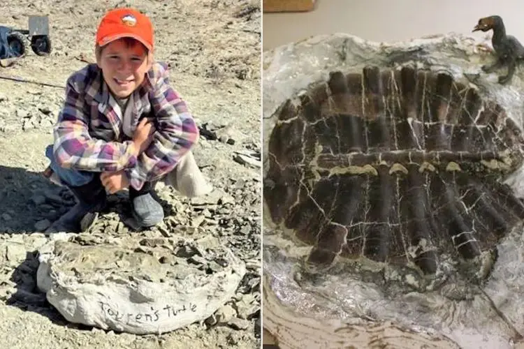 کشف فسیل 50 میلیون ساله لاک پشت توسط یک پسر 11 ساله