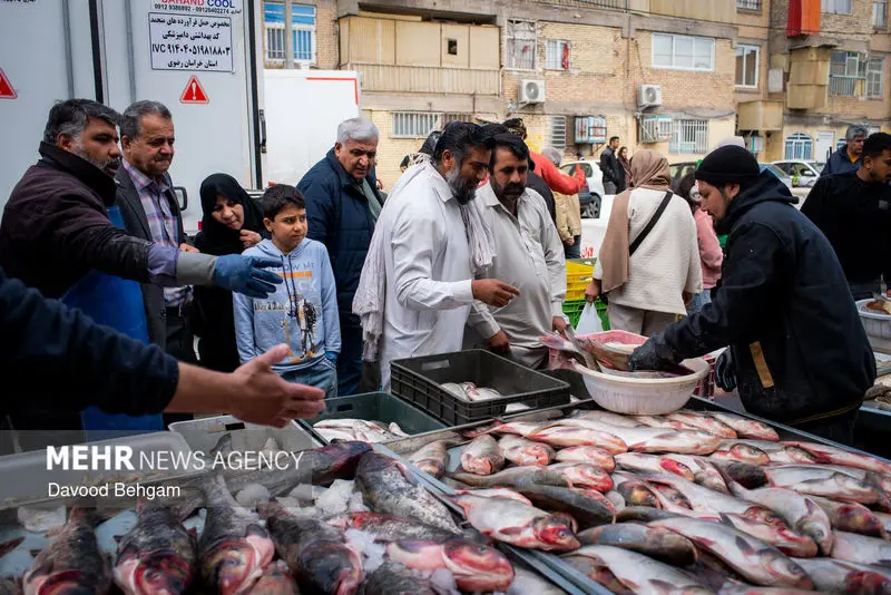 نوروز ۱۴۰۵ ۸