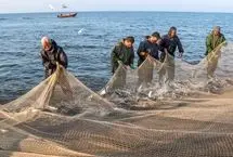 تصاویر؛ صید پره؛ سنت دیرین صیادان خزر
