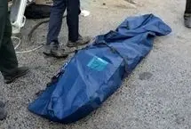 جزییات قتل مریم آقابابایی به‌دست راننده تاکسی اینترنتی