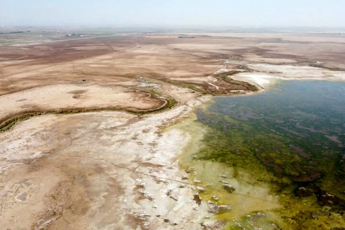 نقش تالاب‌ها در حفظ اکوسیستم/ هشدار کارشناسان برای انقراض گونه‌ها