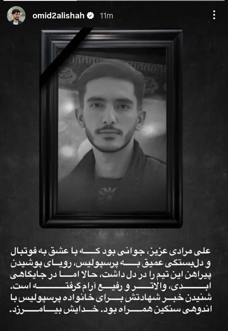 13039327_229