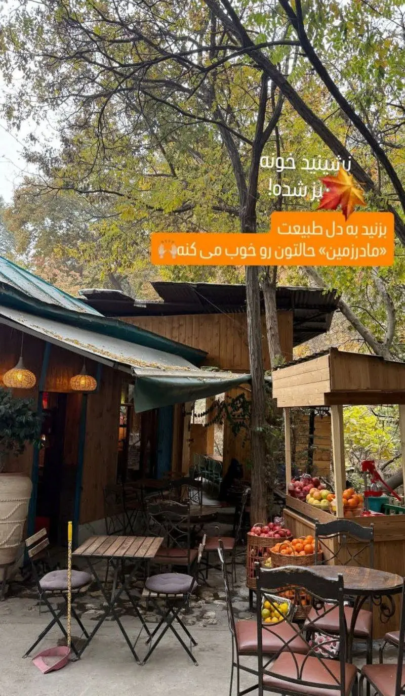 الناز شاکردوست