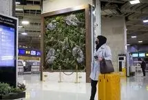 ضرب‌الاجل سازمان بازرسی به ایرلاین‌ها؛ پول بلیط‌ها بازگردانده شود