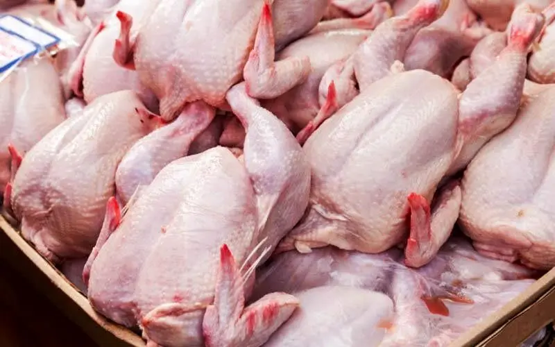 توزیع گوشت و مرغ دولتی در ۳ شهر؛ گوشت ارزان از کجا بخریم؟