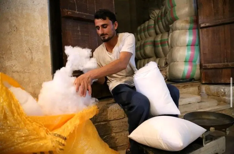 بوشهر