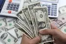 قیمت دلار با کارت ملی امروز شنبه 11 مهر 1405