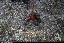 مشکل 20 میلیون تن زباله در آرادکوه باقی‌ست