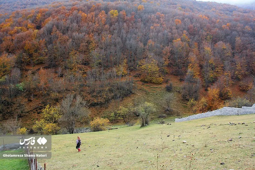 عکس صفحه گوشی پاییز