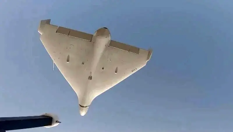 شاهد 238