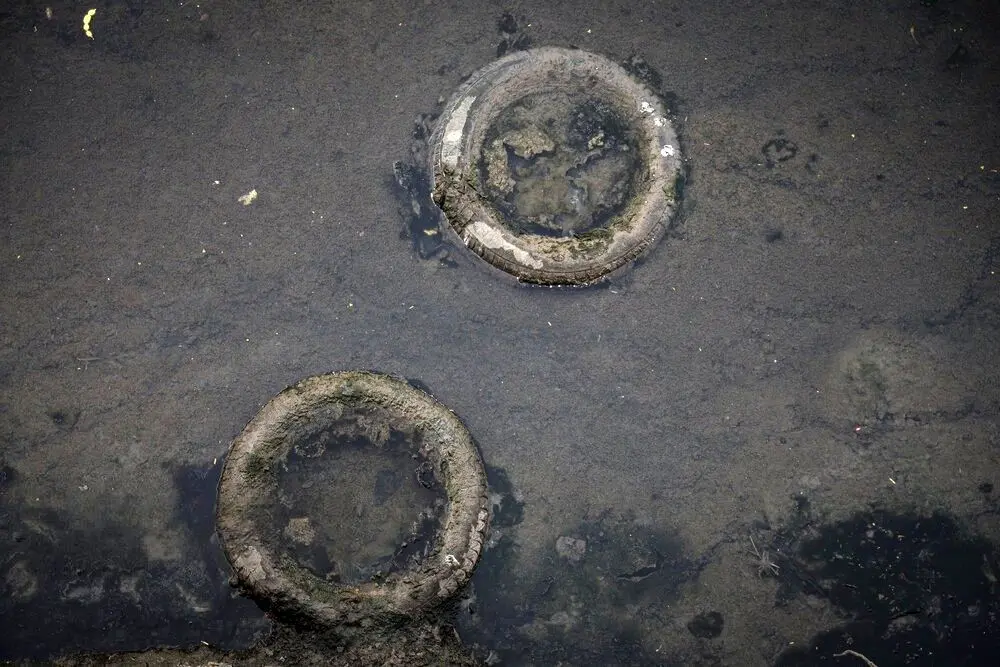 تصاویر؛ خورهای بندرعباس؛ زایشگاه پشه آئدس