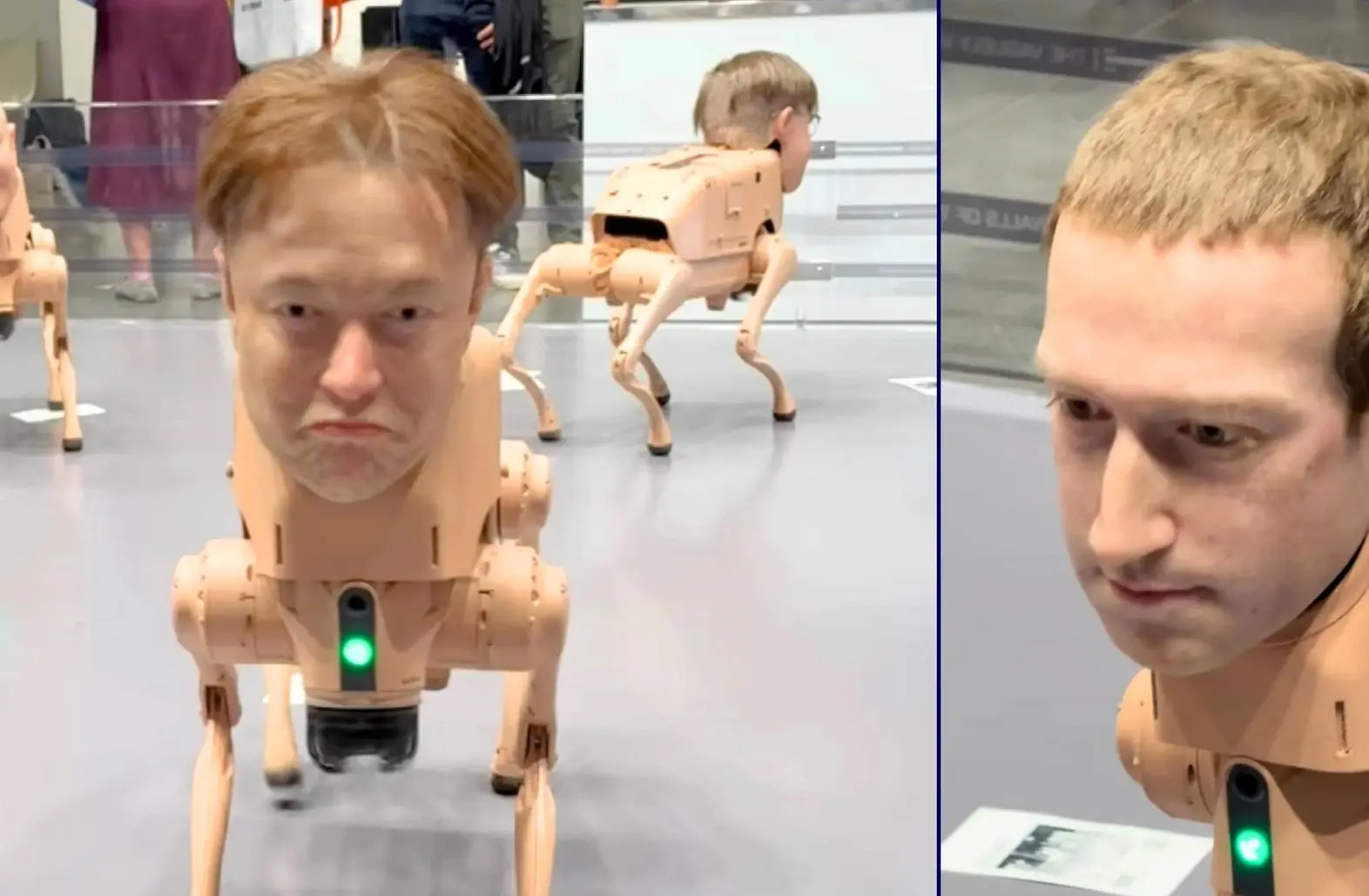 سگ‌های رباتیک با چهره ایلان ماسک و مارک زاکربرگ!