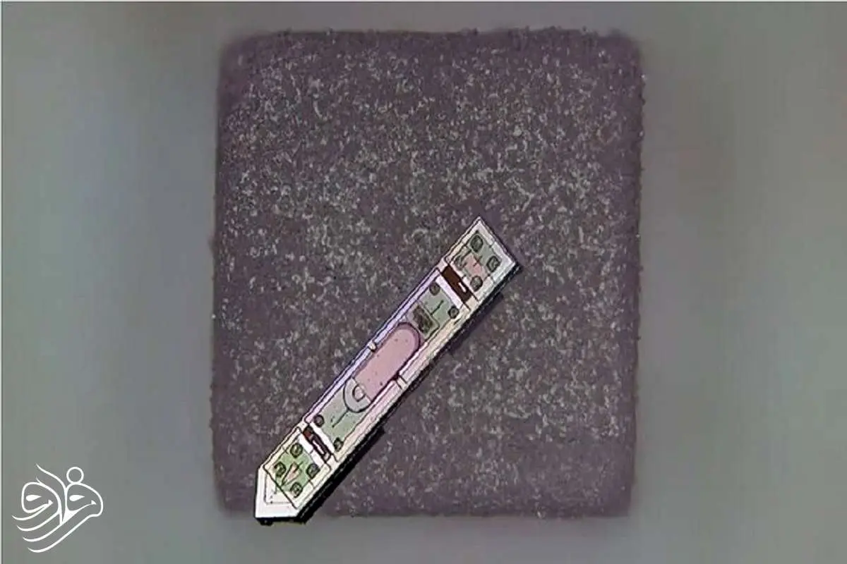 وقتی یک دانه نمک به مغز انسان نفوذ می‌کند!