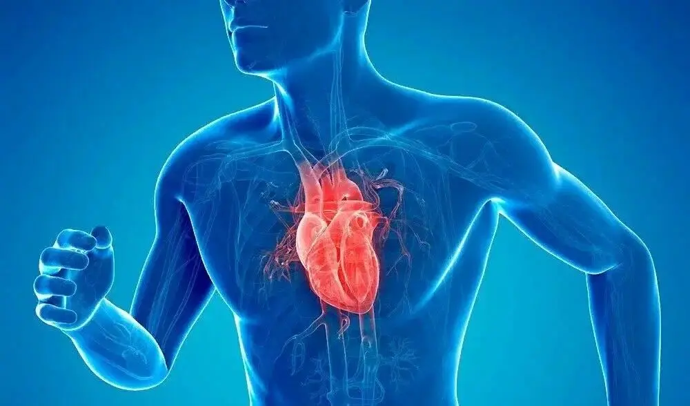 فواید یک داروی لاغری پرمصرف برای قلب