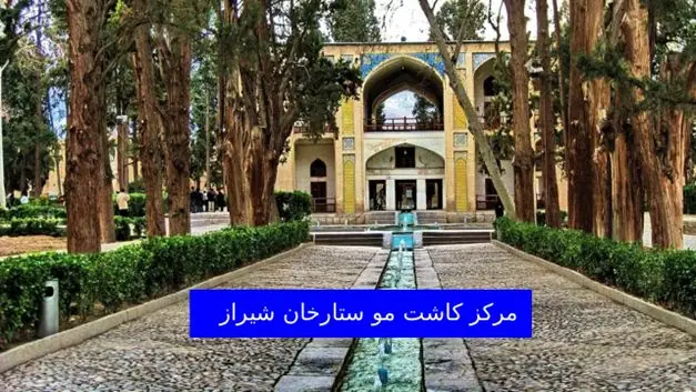 لیست کلینیک کاشت مو شیراز ستارخان: آدرس + شماره تماس