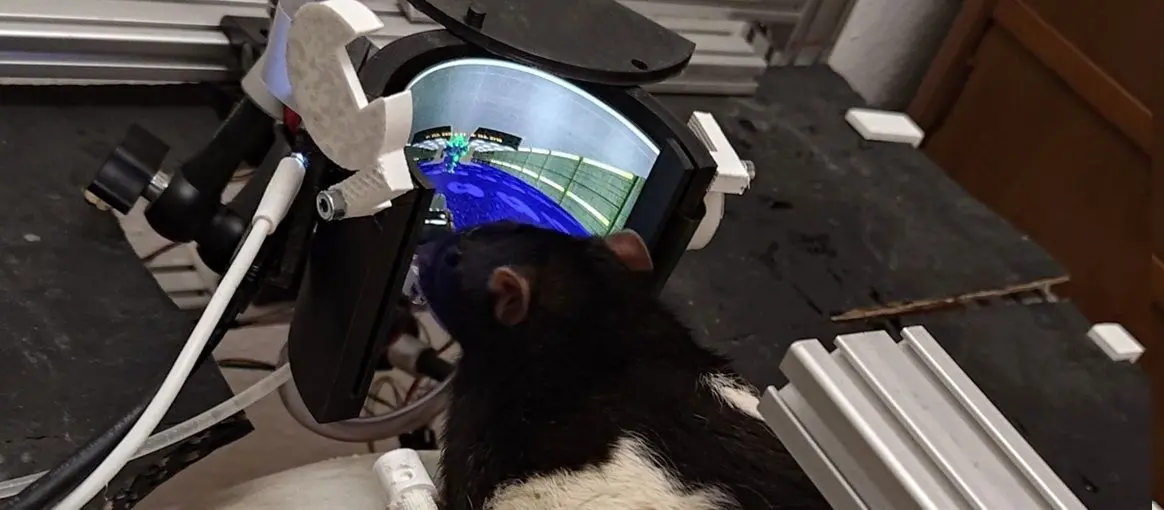 دانشمندان به موش‌ها بازی Doom را آموزش دادند