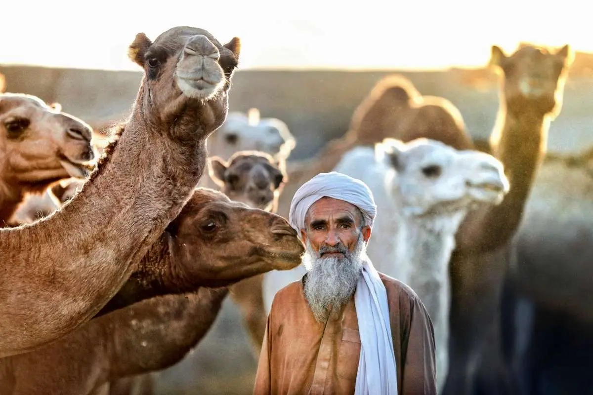 تصاویر؛ «چابهار» رنگ، فرهنگ و زندگی