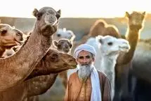 تصاویر؛ «چابهار» رنگ، فرهنگ و زندگی