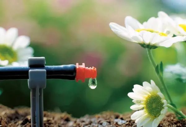 آبیاری قطره‌ای برای 2 میلیارد نفر!