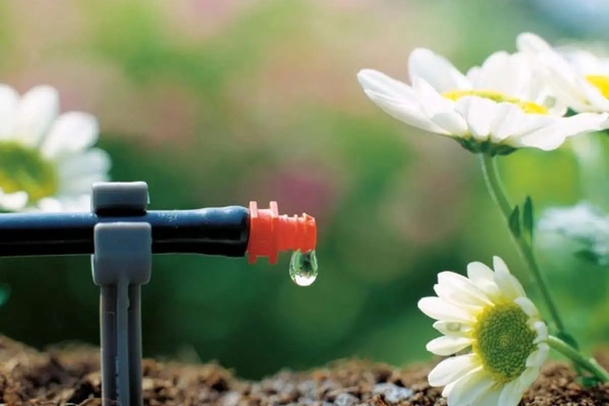آبیاری قطره‌ای برای 2 میلیارد نفر!