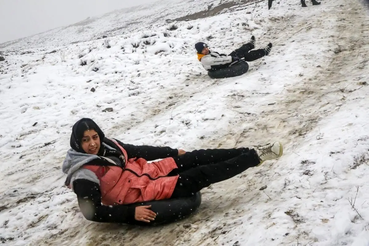 تصاویر؛ شادی در دل مشهد بارید