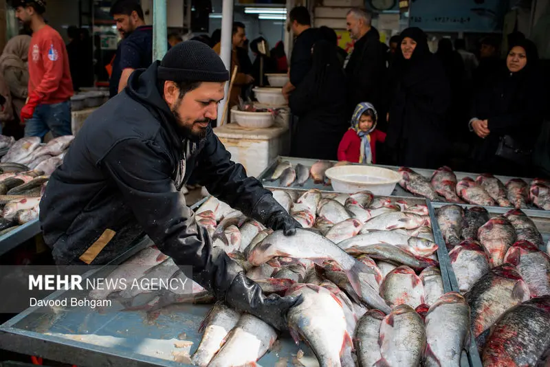 نوروز ۱۴۰۵ ۳۰