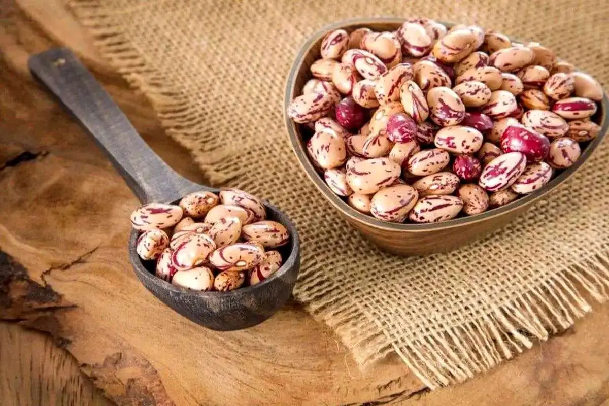 جدیدترین قیمت شکر و لوبیا چیتی در بازار؛ لوبیا چیتی چقدر ارزان شد؟