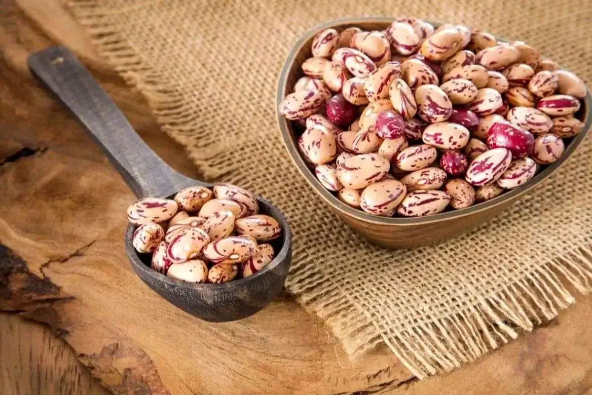جدیدترین قیمت شکر و لوبیا چیتی در بازار؛ لوبیا چیتی چقدر ارزان شد؟