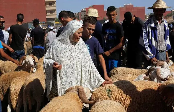 ذبح قربانی در مراکش ممنوع شد!