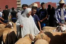 ذبح قربانی در مراکش ممنوع شد!