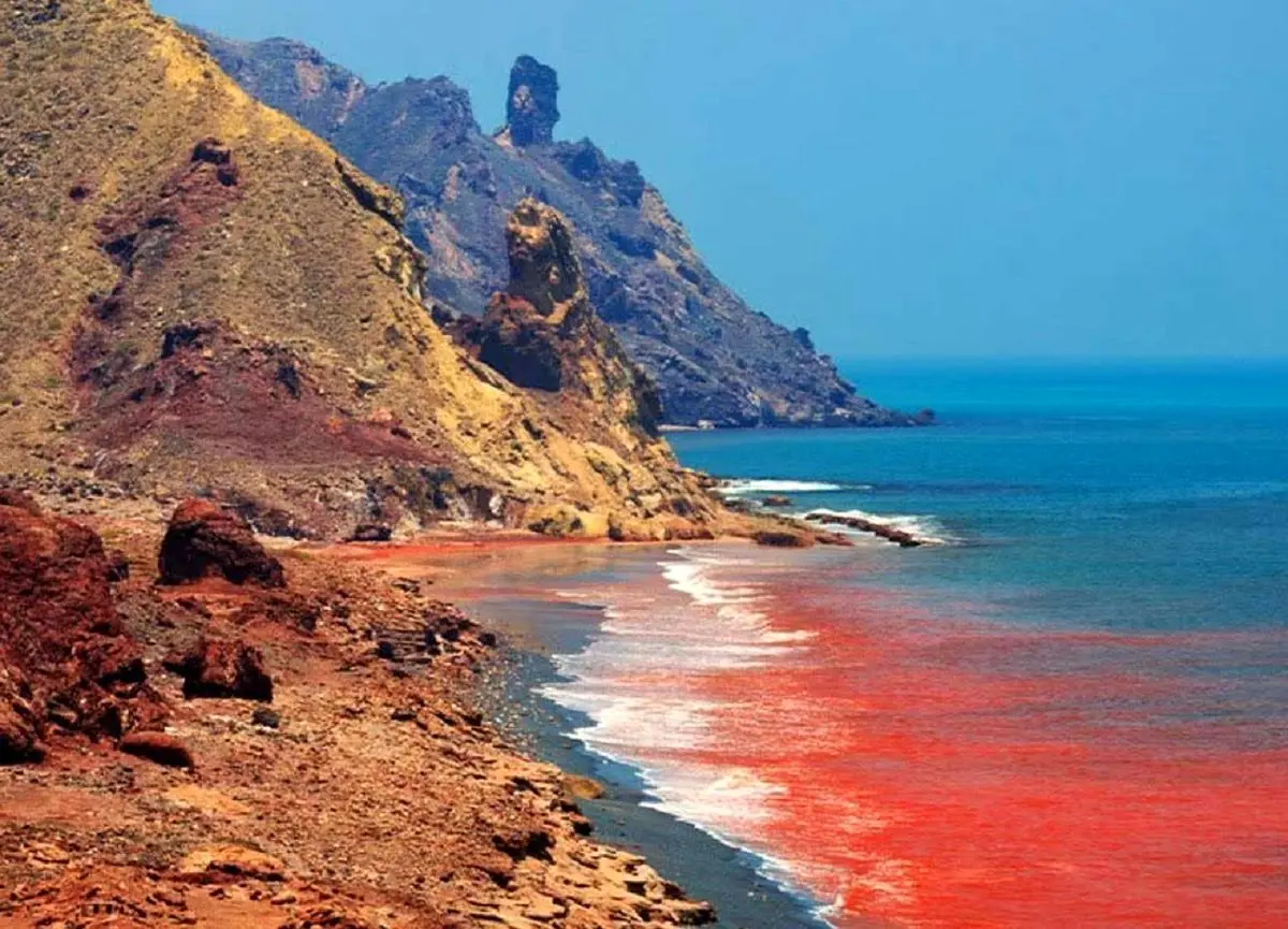 از حفاظت تا جذب گردشگر؛ جزایر خلیج فارس شناسنامه‌دار می شوند